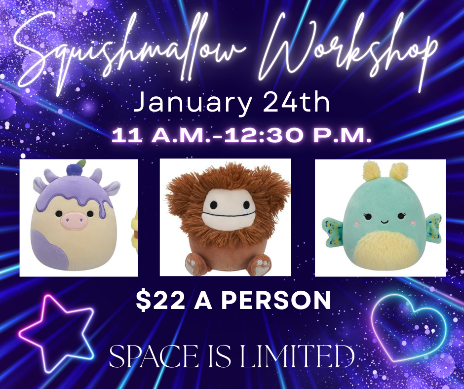 Squishmallow Workshop