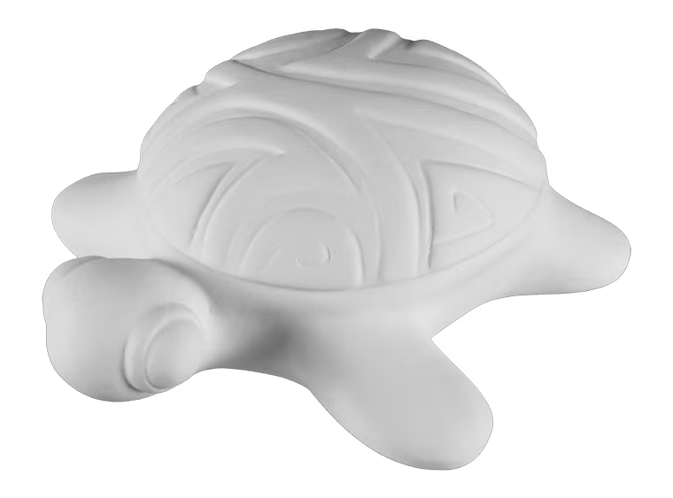 Surf's Up Turtle Box