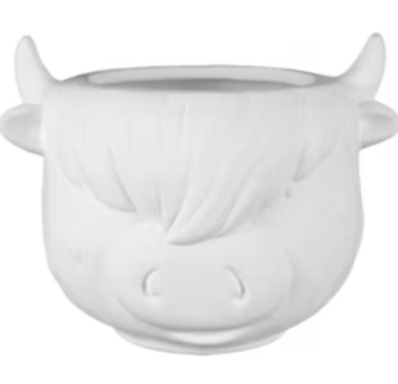 Highland Cow Container