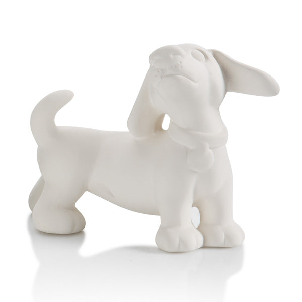 Dachshund