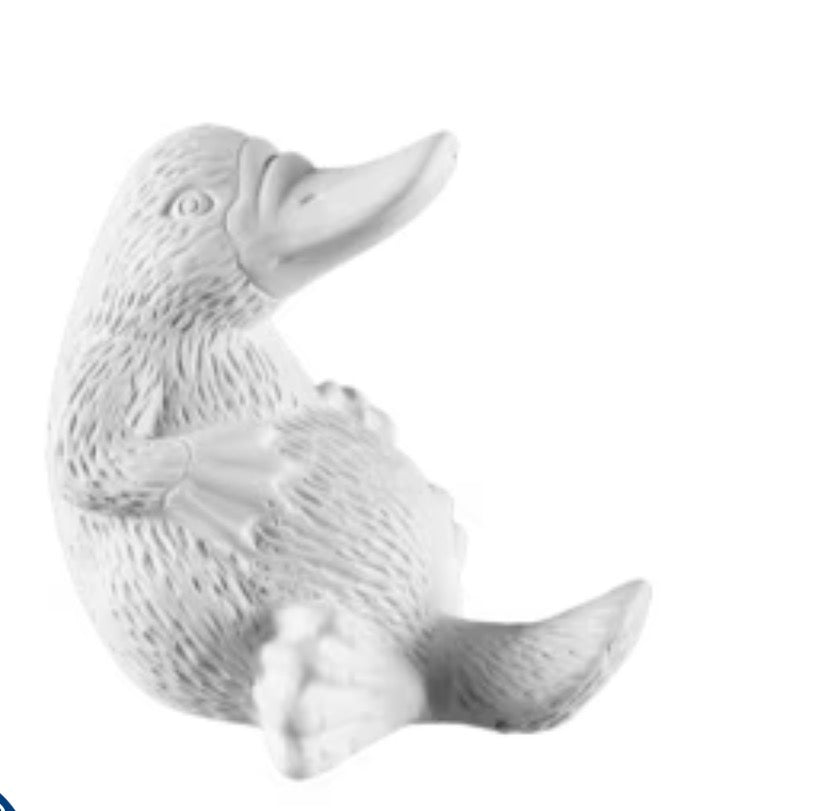 Platty the Platypus