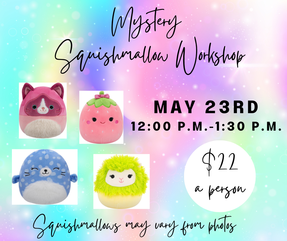 Mystery Squishmallow Workshop