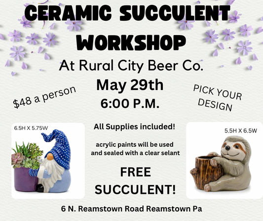 Ceramic Succulent Workshop