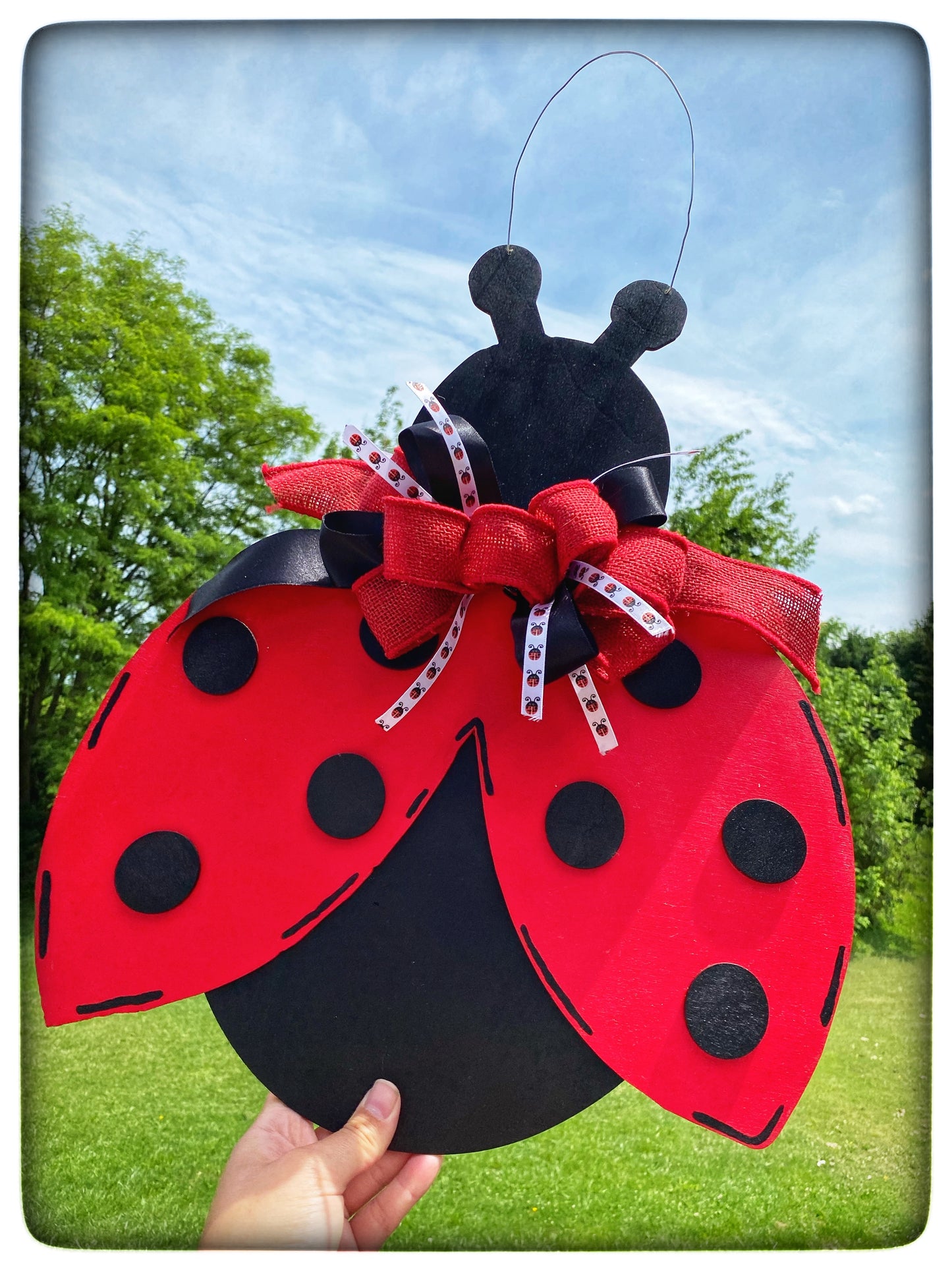 Lady Bug Door Hanger
