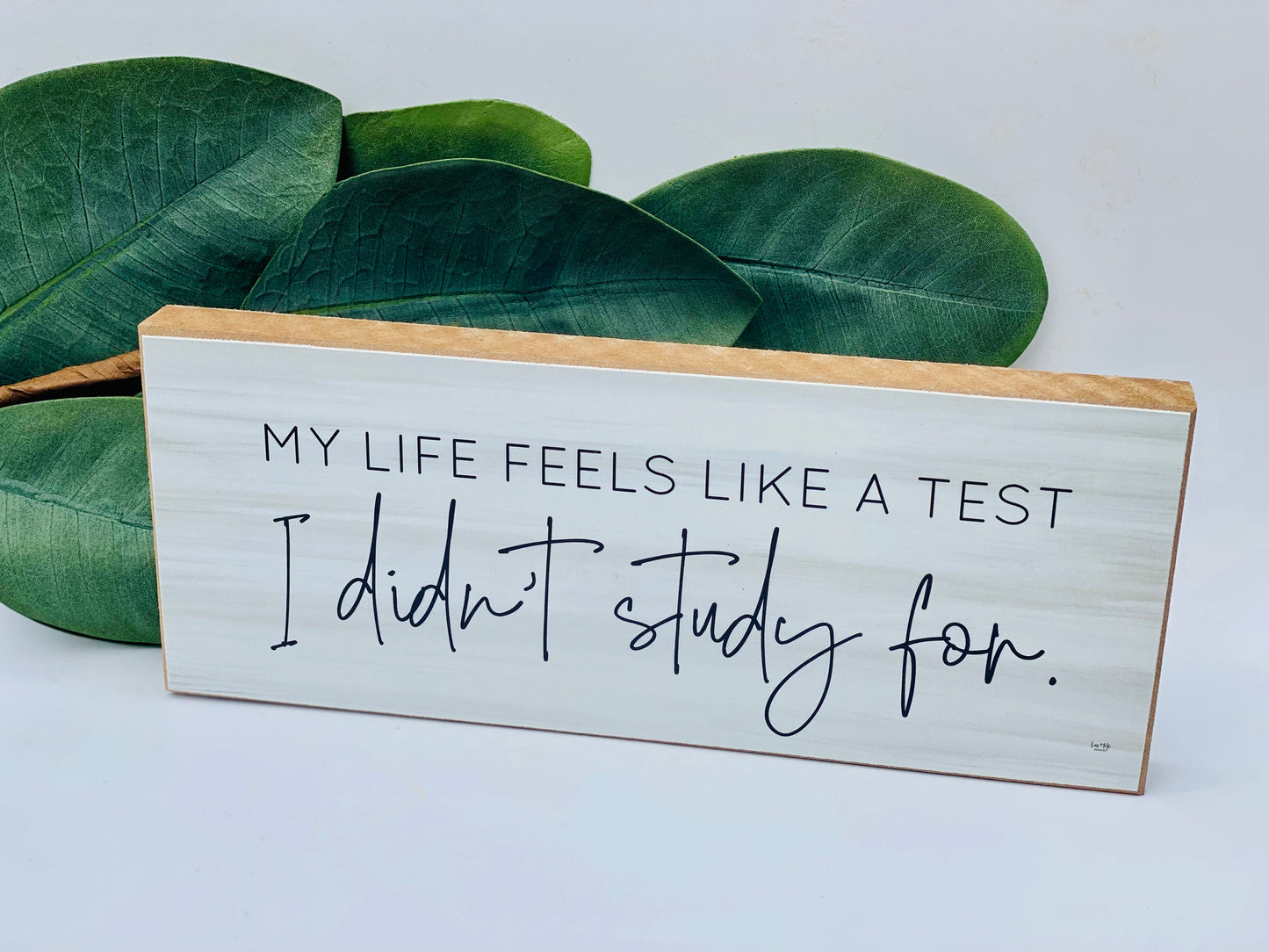Life Feels like a Test
