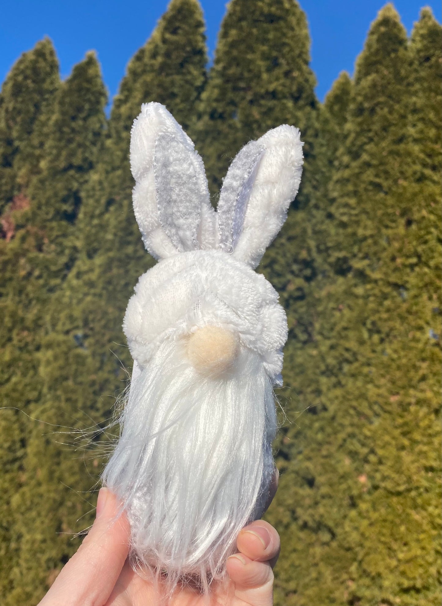 Bunny gnomes