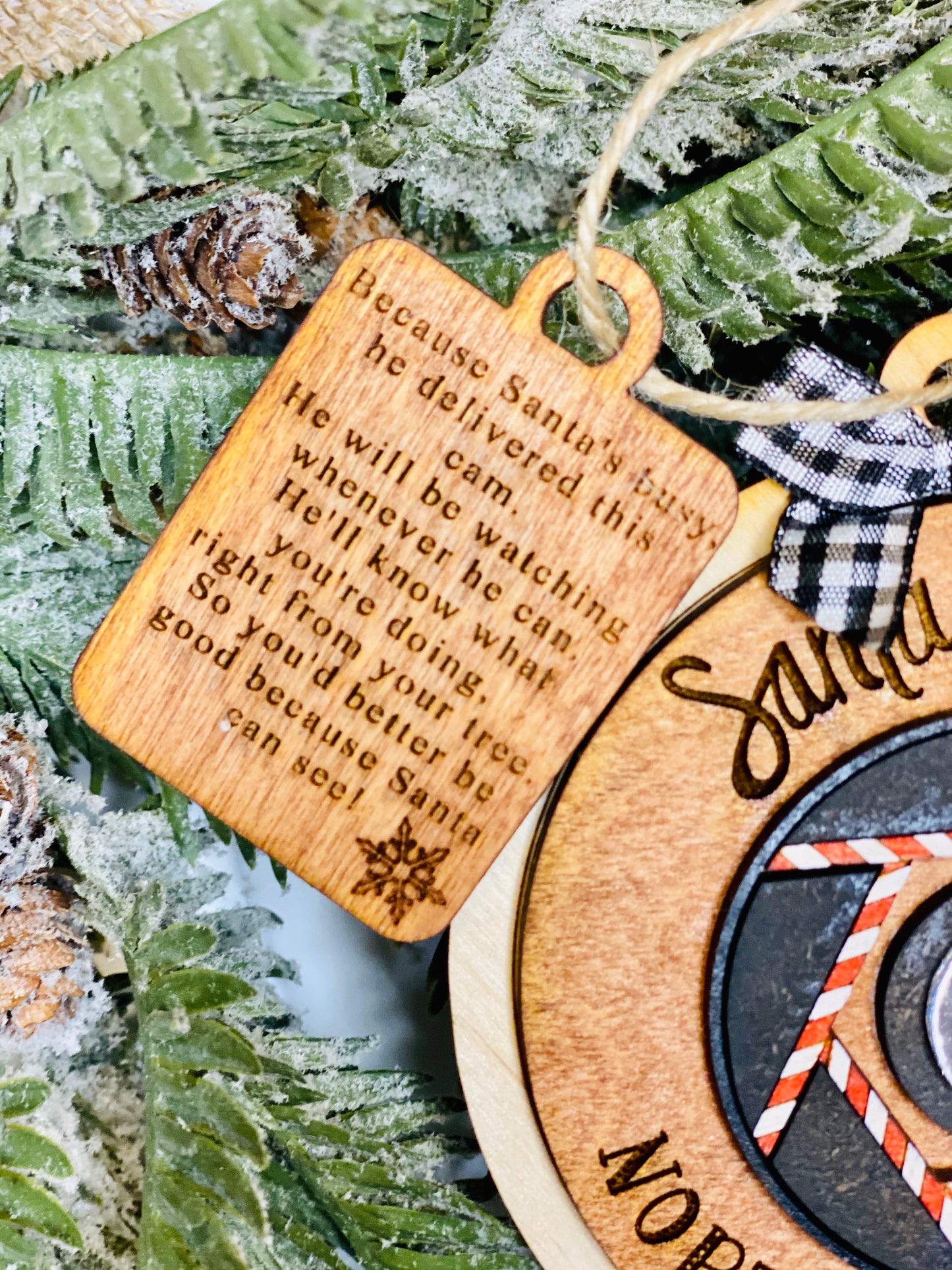 Santa cam