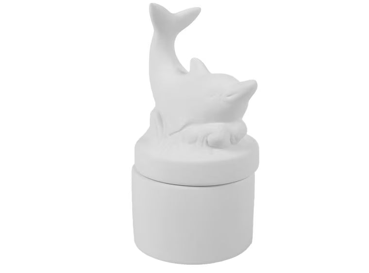 Dolphin Box