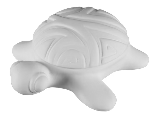 Surf's Up Turtle Box