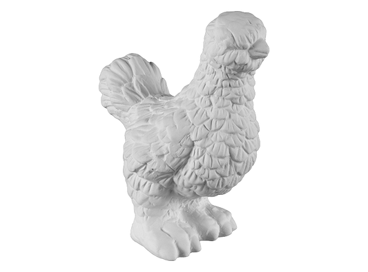 Silkie the Chicken