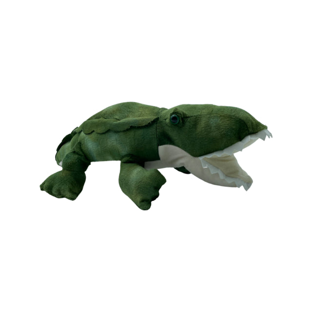 Alligator
