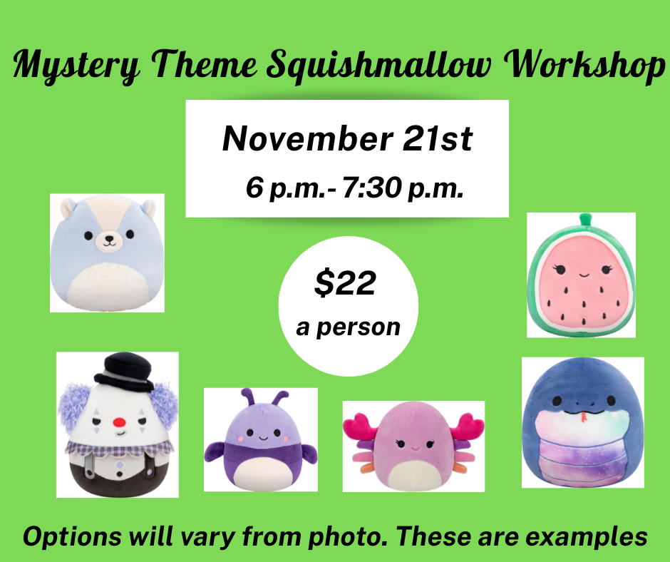 Mystery Theme Squishmallow Workshop
