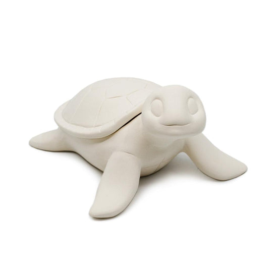 Sea Turtle Box